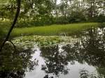 Zeulenroda Fernsicht Ein schner Blick zum Teich  11.08.2010