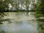 Zeulenroda Fernsicht Ein schner Blick zum Teich    24.08.2010