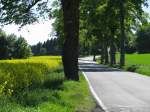 Blick entlang der Strae L 1095 in Richtung Neundorf (SOK), 05.06.2010