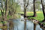 Wenn man ab Neunhofen zu Fu dem lauf der Orla folgt,und entlang des Mhlengrundes wandert kann man eine Idylische Natur finden, die gerade zum Frhjahr ihresgleichen sucht.