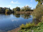 Klosterteich bei Thalbürgel, Saale-Holzland Kreis (22.10.2022)