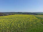 Felder bei Letzendorf im Naturraum Ostthüringer Schiefergebirge (30.04.2023)