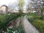 Arnstadt, Blumenbeete im Schloßgarten (16.04.2022)