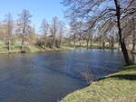 Teich bei Geschwende, Thüringer Wald (16.04.2022)