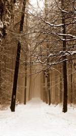 Winterlandschaft in Zeulenroda.