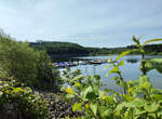 Ein Blick vom Panoramaweg (Bio Seehotel Zeulenroda) auf den Bootsverleih Anlegestelle von der Wassersportschule Thüringen. Foto 03.06.22