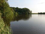 Kleiner See beim Sorup Herregard bei Ringsted, Seeland (19.07.2021)