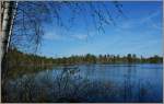 Ein Waldsee im Naturschutzgebiet Linde Raba.