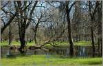 Anfang Mai hat es nach der Schneeschmelze noch viel Wasser im Park von Parn.
(02.05.2012)