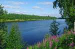 Ivajoloki Fluss in Lappland, Ivalo (05.07.2013)