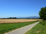 Blick vom Radweg am Colmarkanal nahe der Ortschaft Muntzenheim zu den Vogesen, Juli 2016