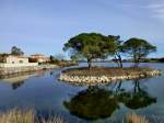 Frankreich, Languedoc, Gard, kleine Insel im Lac de Salonique in Port Camargue.