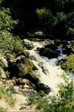 Überlauf aus der Quelle der Fontaine de Vaucluse, das Flüßchen Sorgue ist geboren (Anfang Mai 1994)