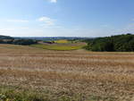 Getreidefelder bei Chalais, Charente (23.07.2018)