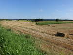 Getreidefelder bei Saint-Quentin-de-Chalais, Charente (23.07.2018)
