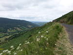 Aussicht vom Pass Col de Serrer im Monts du Cantal, Zentralmassiv (21.07.2018)