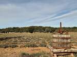 Der landwirtschaftliche Betrieb Maison de la Lavande mit angeschlossenem Lavendelmuseum liegt in der französischen Gemeinde Saint-Remèze im Département Ardèche. Besucht am 15.10.23.