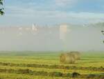 Waltenheim/Zorn - 19. August 2014 : morgendlicher Nebel auf der Heuernte...