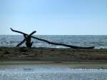 Frankreich, Languedoc, Gard, der Strand mit einem  Kunstwerk  an der Pointe de l'Espiguette bei le Grau du Roi.