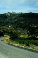 Fast nicht zu erkennen ist die Burgruine Peyrepertuse, die aus dem gleichen hellen Kalkstein errichtet wurde, aus dem auch der Untergrund der Felsen besteht. (Juli 1988)