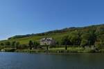 Schiffrundfahrt auf der Mosel, blick auf der franzsischen Seite der Grenze auf die Weinberge. 24.09.2023