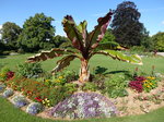 Avranches, Jardin-des-Plantes (13.07.2016)