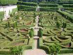 Ziergarten von Schloss Villandry, Loiretal (01.07.2008)