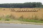 Das Feld ist abgeerntet in Sdfrankreich im August 2009