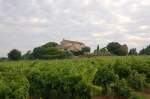 provencalisches Weingut mit Weinberg auf der linken Seite und Olivenhain auf der anderen Seite unweit der Stadt Le Val, einem kleinen verschlafenen Nest mit ca.