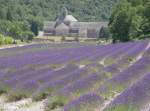 Das Zisterzienserkloster Snanque bei Gordes am 17.07.2008