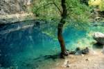 Die Quelle des Flchens Sorgue in Fontaine de Vaucluse.