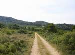 Ein Weg in der Provence(F) bei Sonne und Wolken am Morgen vom 25.7.2014.