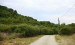 Eine Straße in der Provence(F) bei Sonne und Wolken am Vormittag vom 25.7.2014. 