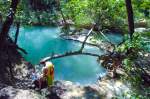 Sillans-la-Cascade  Département Var in der Region Provence-Alpes-Côte d’Azur. Aufnahme: Juli 2015.