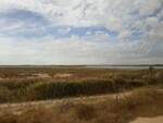 Die Camargue ist ein ausgedehntes Feuchtgebiet, das sich zwischen dem Mittelmeer und dem Rhônedelta erstreckt.