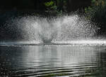 Wasserspiele im Gegenlicht - Freizeitpark Rheinbach - 06.09.2022