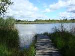 Wurzacher Ried,  herrliches Naturschutz-und Wandergebiet in Oberschwaben,  Aug.2008