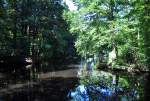 Waldteich bei Rheinbach - 01.08.2012