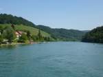 Rhein und Weinberge bei Eglisau/Schweiz, Juli 2013 