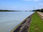 Blick rheinabwrts von der Rheininsel, am Horizont die Staustufe Rheinau(Rhinau)/Elsa, Aug.2014