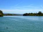 Blick ber den aufgestauten Hochrhein am Kraftwerk Wyhlen, April 2014