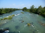 die Save bei Ljubljana(Laibach), Sloweniens größter Fluß, Juni 2016 