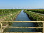 Canal de la Hardt, Bewsserungskanal im sdlichen Elsa, im Hintergrund rechts der Kaiserstuhl, Aug.2016