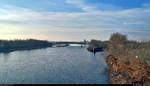 Blick von der Herrenkrugbrücke in Magdeburg auf die Elbe flussaufwärts.