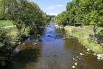 Blick von der Fußgängerbrücke bei Littenweiler, OT von Freiburg, auf die Dreisam flußabwärts, Sept.2020