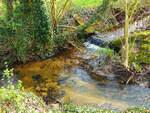 Zusammenfluss Mühlenbach (von rechts) und Randelbach in Rheine=Bentlage, 06.04.2019