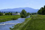 am Elzdamm bei Emmendingen, im Hintergrund der 1242m hohe Kandel im mittleren Schwarzwald, Juni 2021