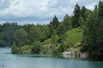 Grünes Ufer am Forggensee.