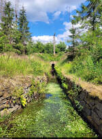 Dieser Wasserlauf östlich von Clausthal-Zellerfeld im Harz müsste der Huttaler Graben sein, aber der genaue Fotostandort ist leider nicht mehr bekannt.