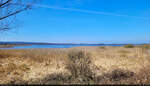 Panorama vom Galenbecker See bei Heinrichswalde. Hier sind viele V�gel heimisch, eine touristische Nutzung wird daher nicht verfolgt.

🕓 12.4.2025 | 12:24 Uhr